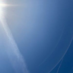 Meet your Posher, Izzy